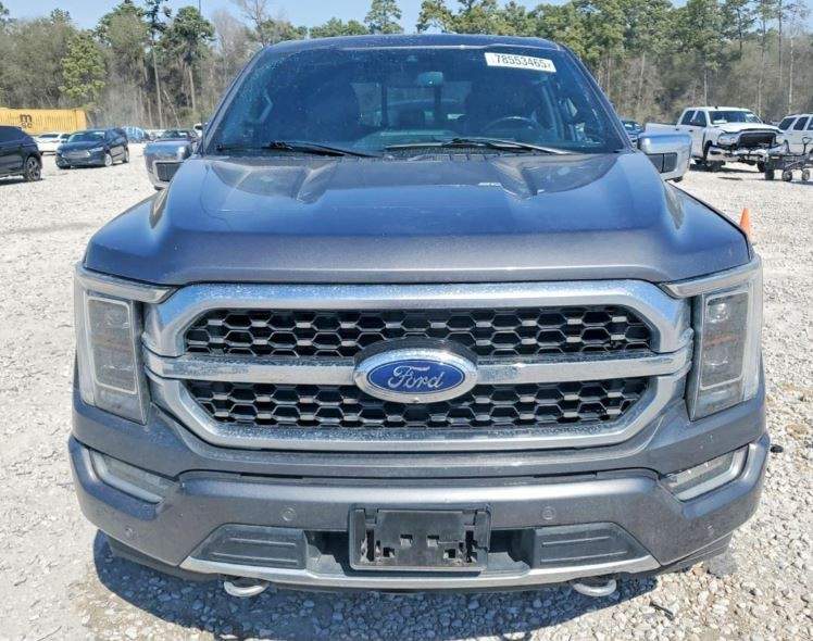 2021 Ford F150 Platinum