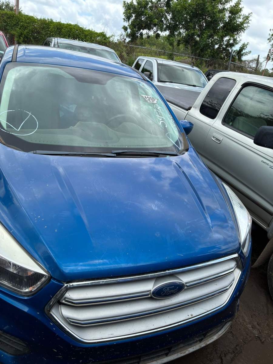 2019 Ford Escape