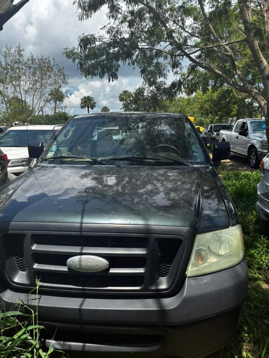2006 Ford F-150