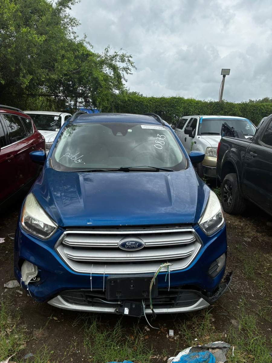 2019 Ford Escape