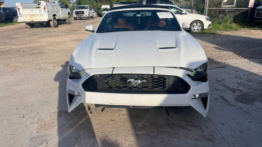 2019 Ford Mustang