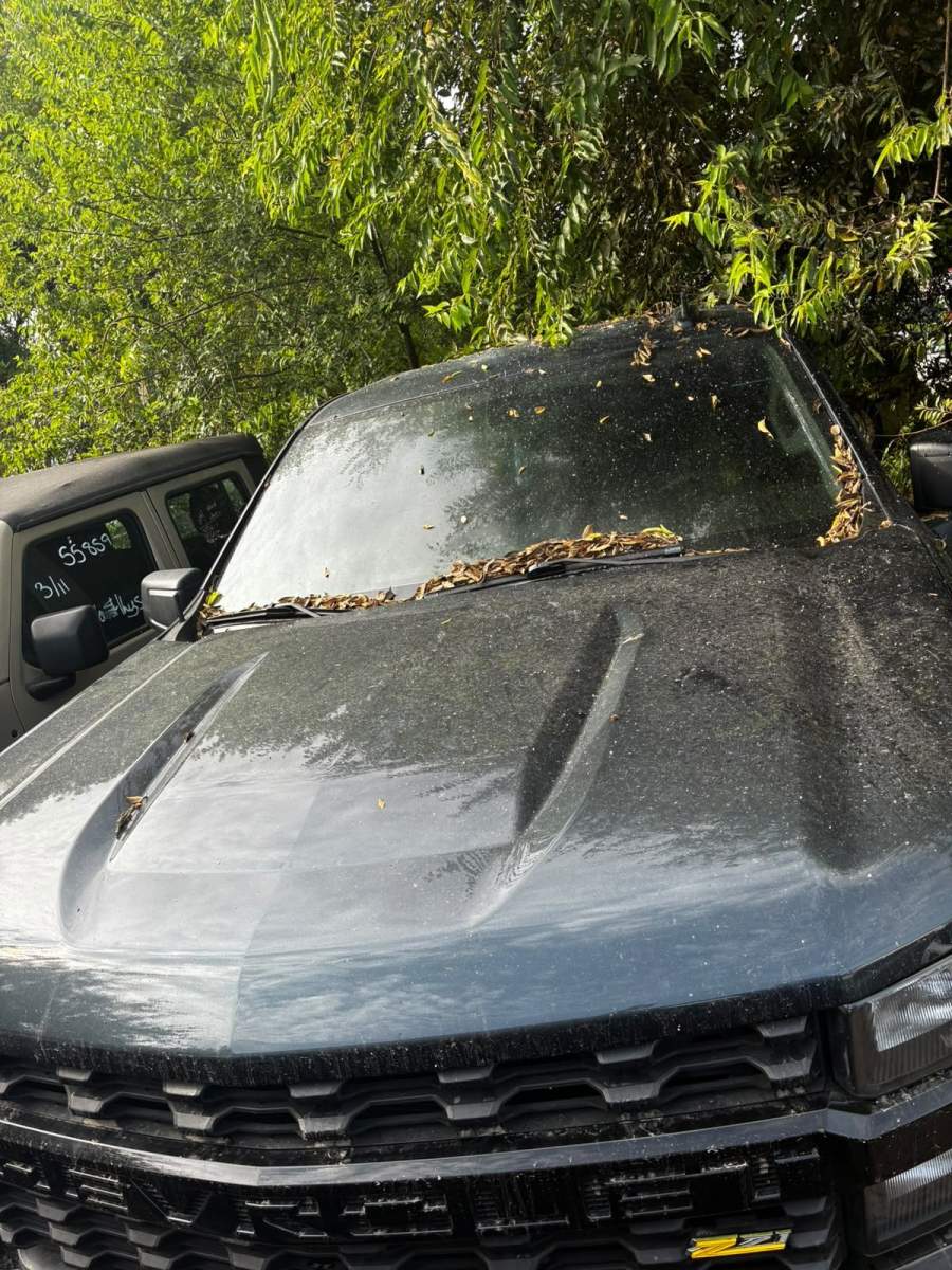 2019 Chevrolet Silverado