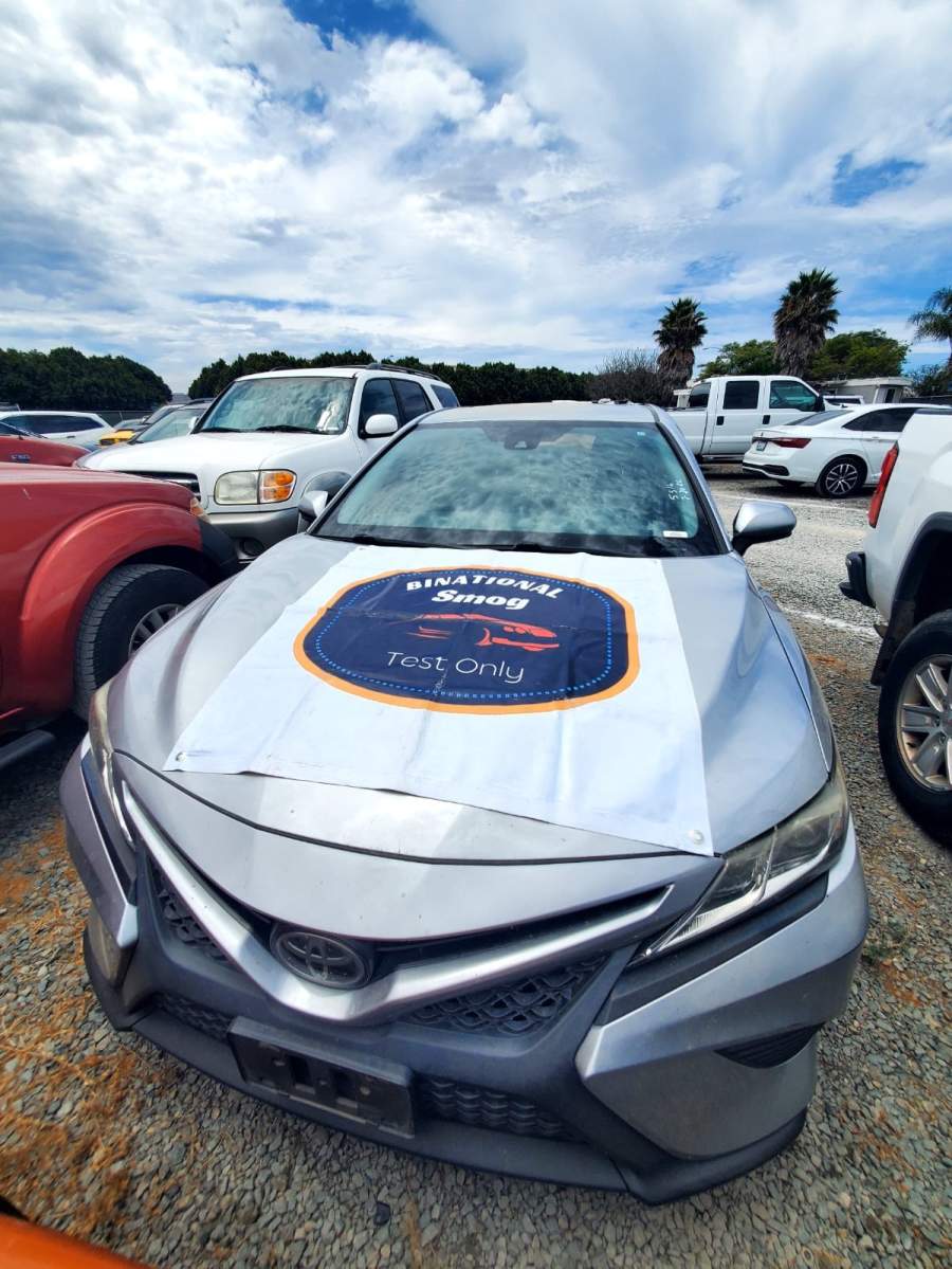 2019 Toyota Camry L / LE / SE / XLE