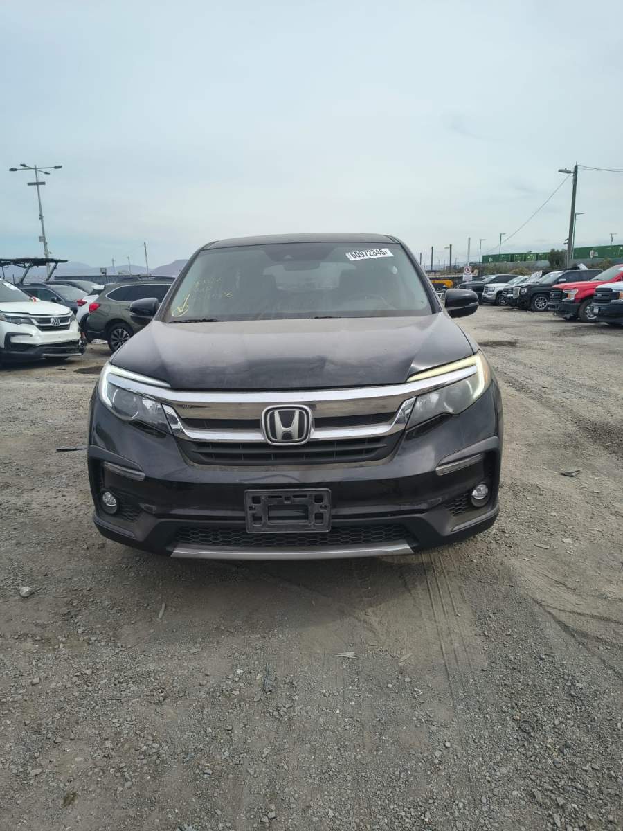 2019 Honda Pilot Ex-L