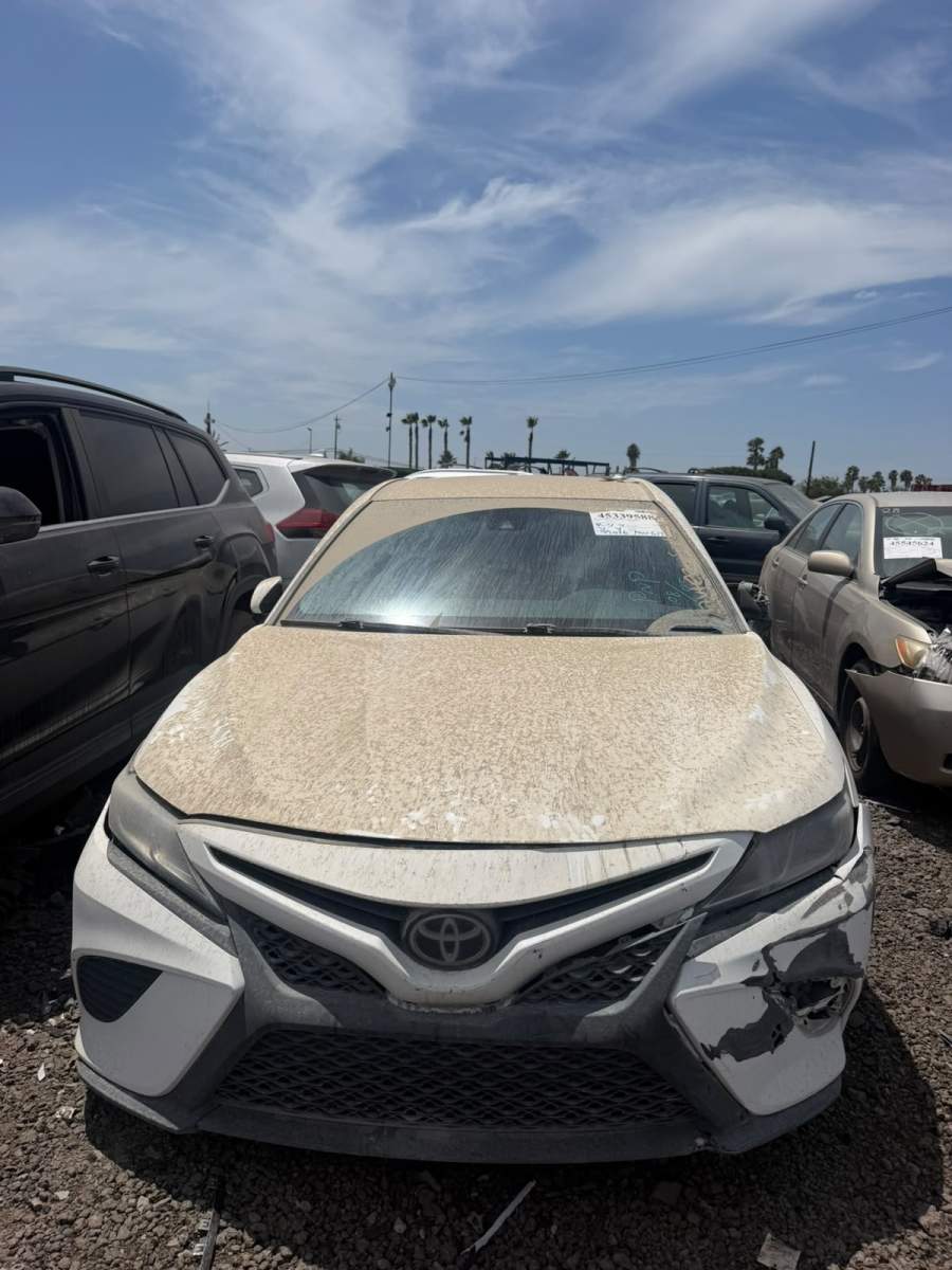 2019 Toyota Camry L / LE / SE / XLE
