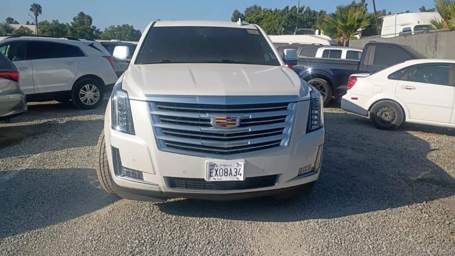 2019 Cadillac Escalade ESV PLATINUM