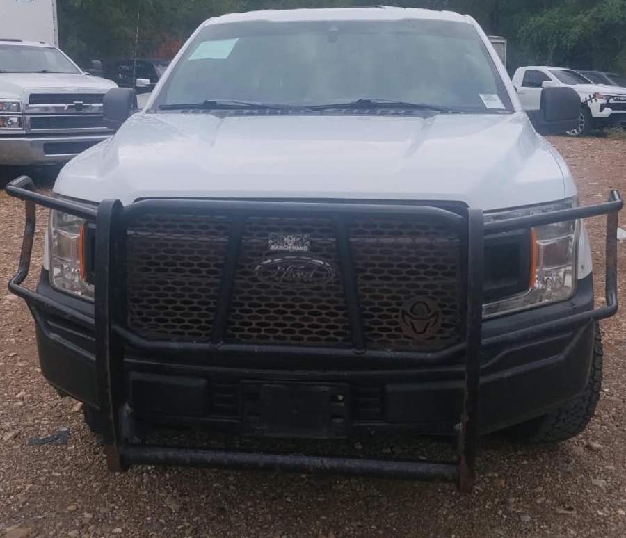 2019 Ford F-150 XL / XLT