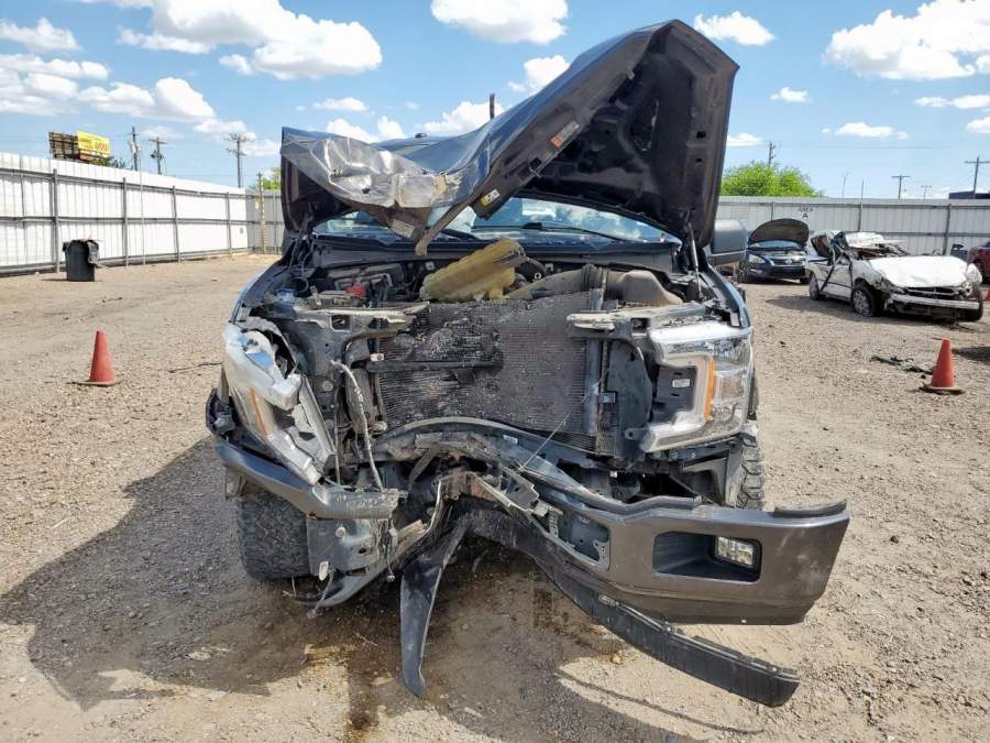 2019 Ford F-150 XL / XLT
