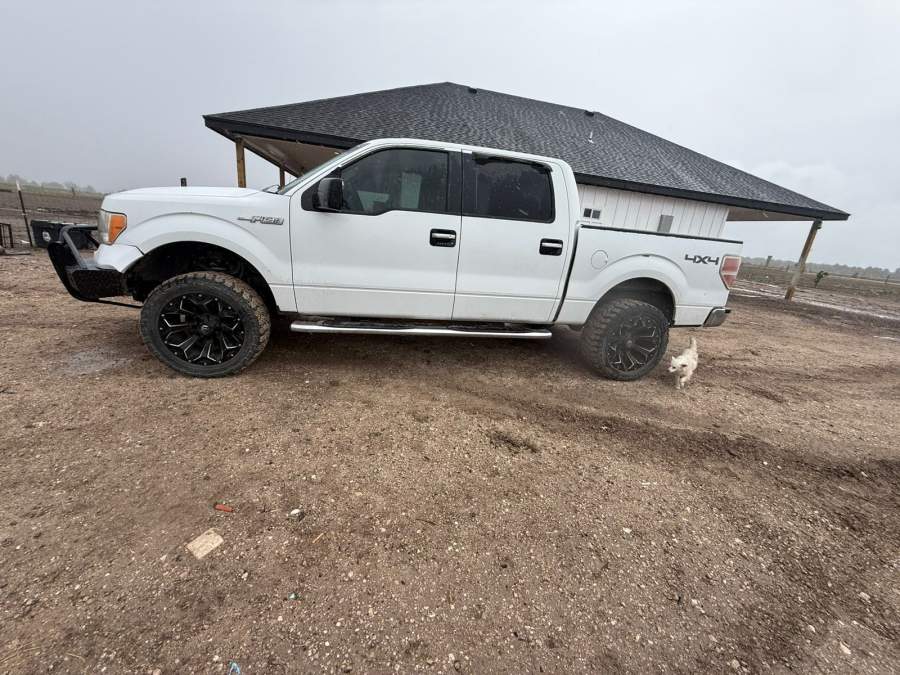2011 Ford F-150