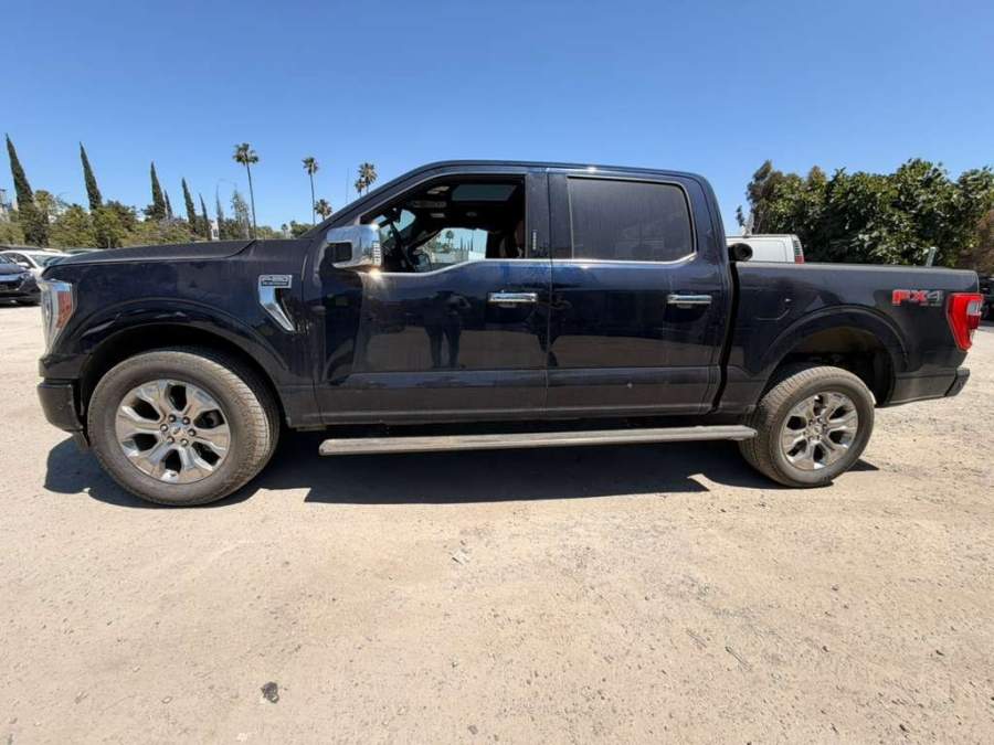 2021 Ford F150 Platinum