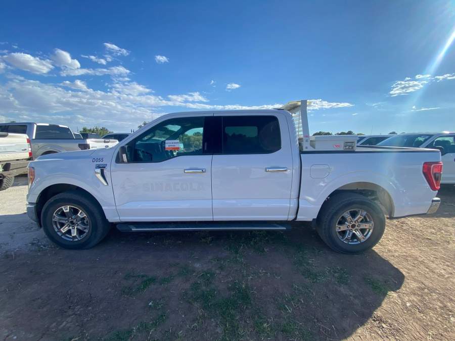 2021 Ford F-150