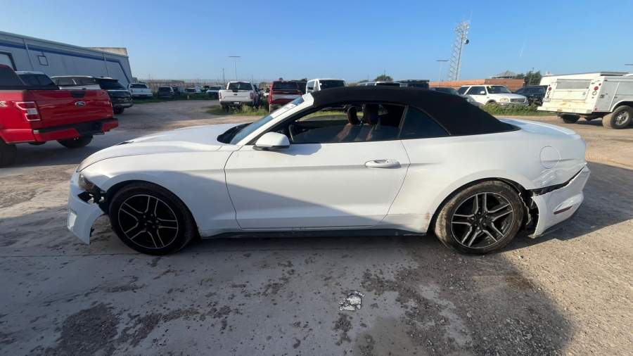 2019 Ford Mustang