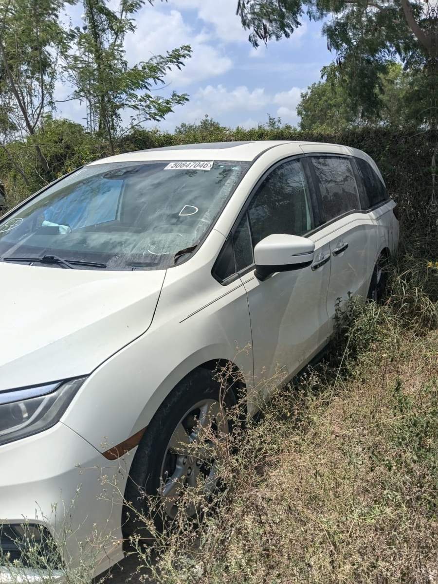 2019 Honda Odyssey