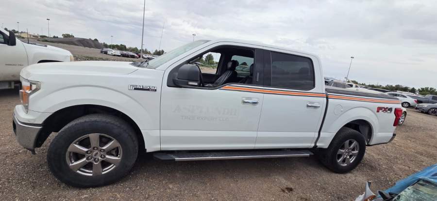 2019 Ford F-150
