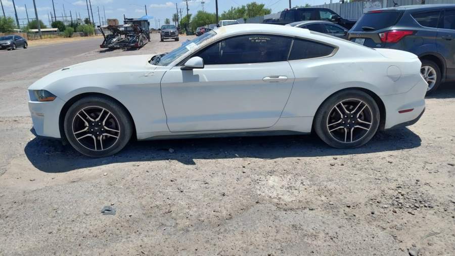 2019 Ford Mustang