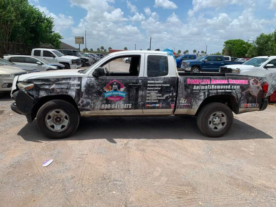 2019 Toyota Tacoma