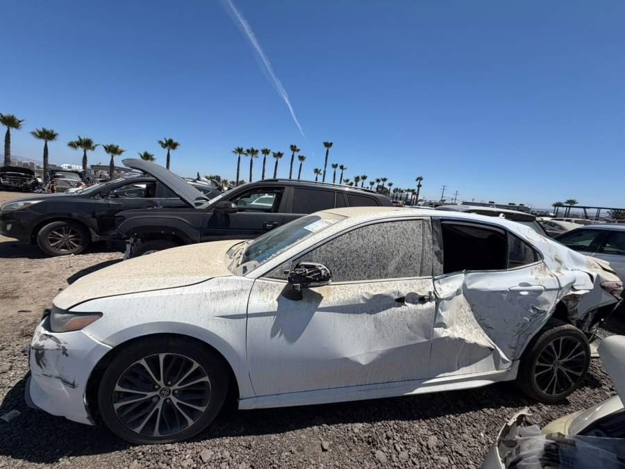 2019 Toyota Camry L / LE / SE / XLE