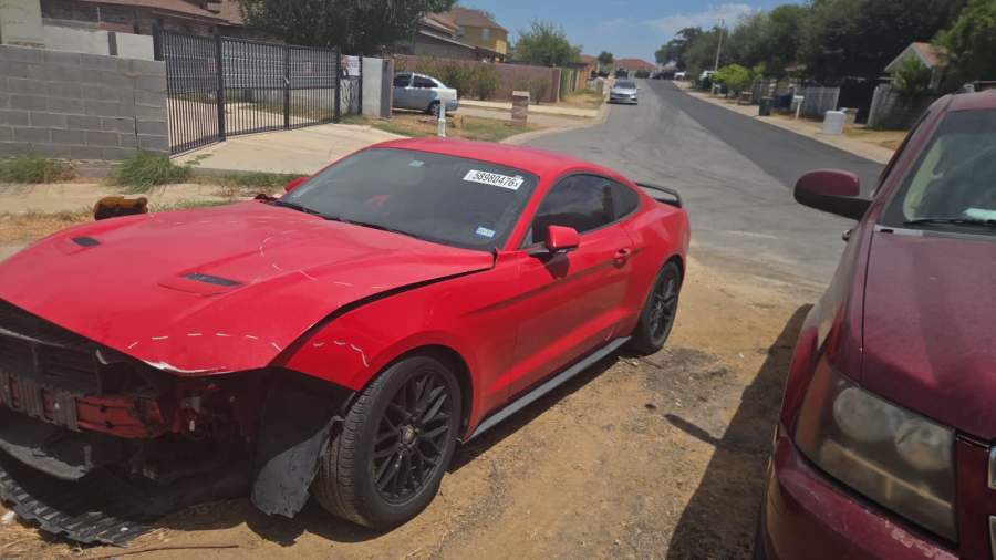 2019 Ford Mustang