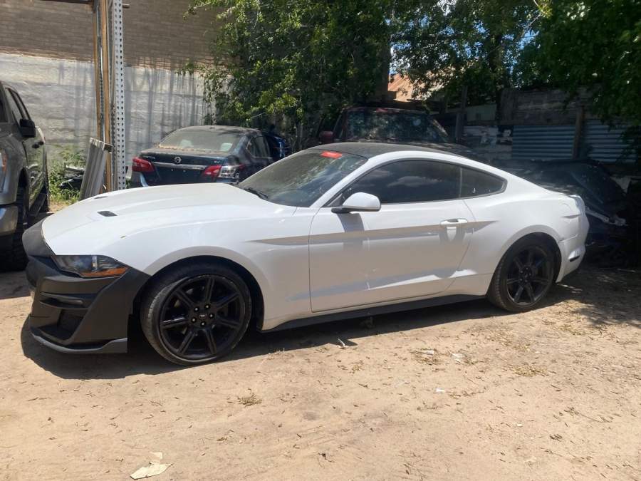 2019 Ford Mustang