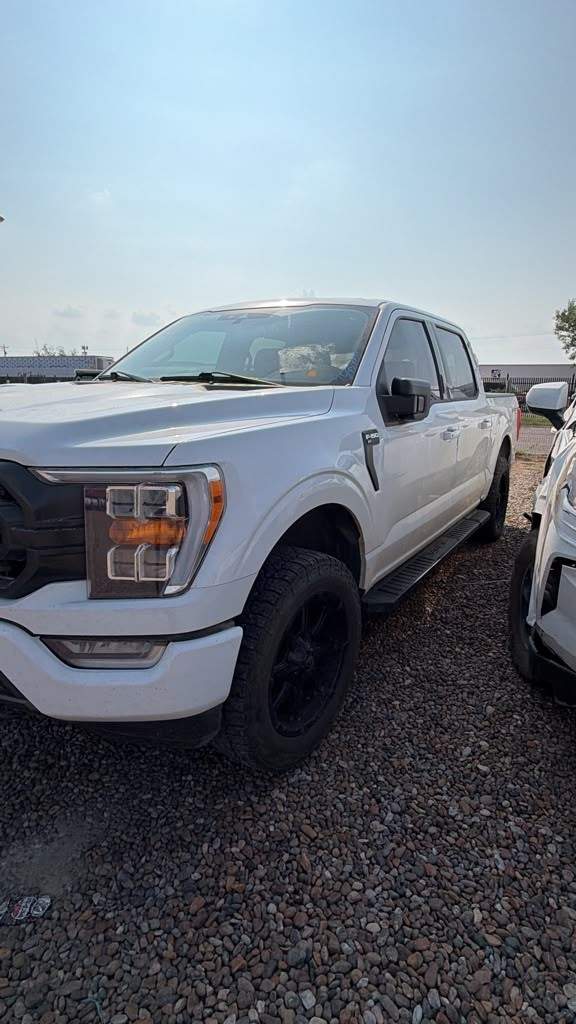2021 Ford F-150 King Ranch / Lariat / Limited / Platinum / XL / XLT