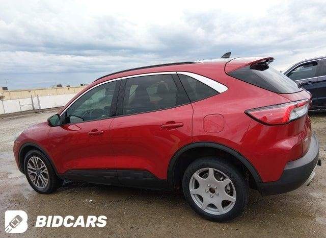 2020 Ford Escape