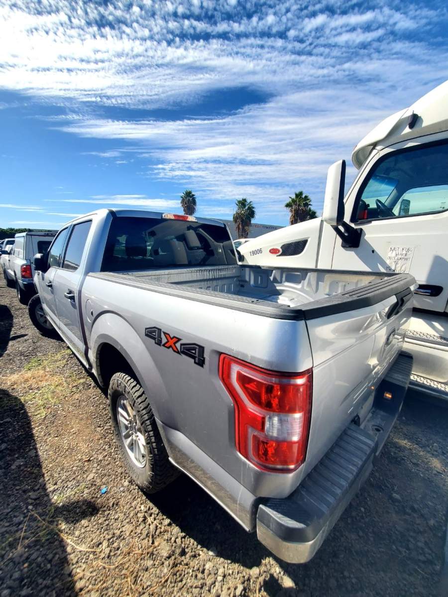 2019 Ford F-150 King Ranch / Lariat / Platinum / XL / XLT