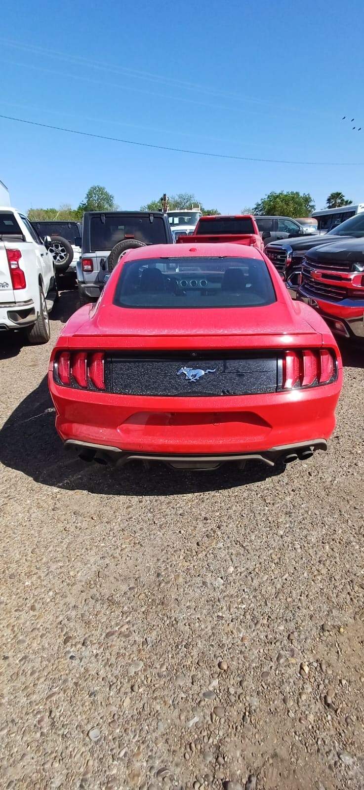 2019 Ford Mustang