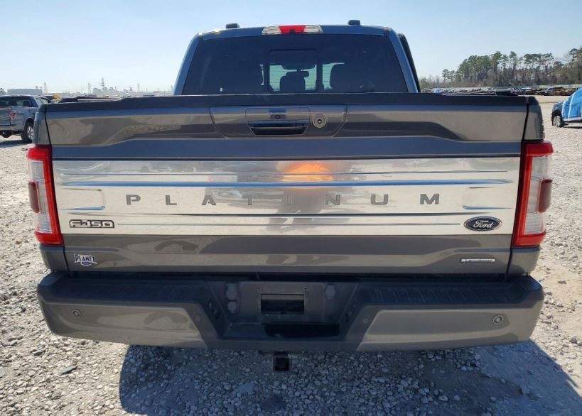 2021 Ford F150 Platinum