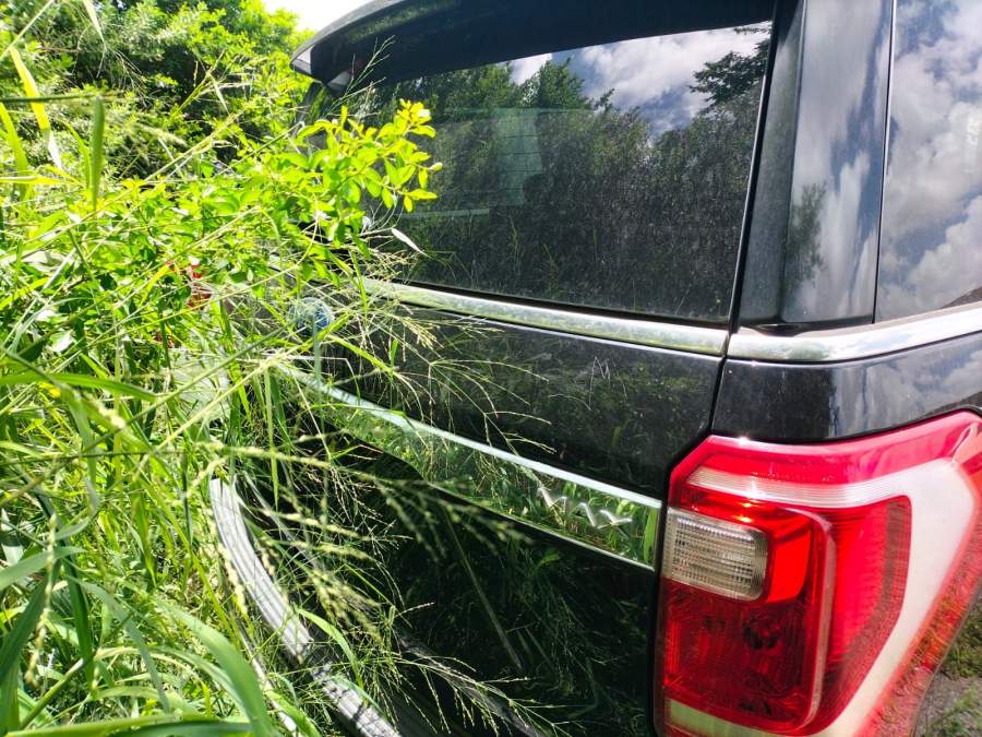 2019 Ford Expedition MAX