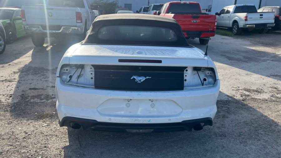 2019 Ford Mustang
