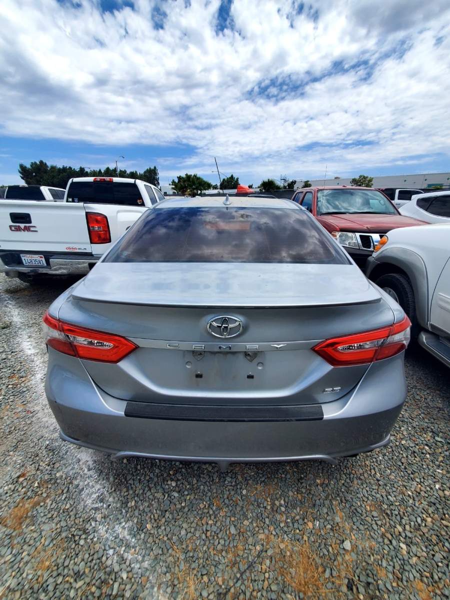 2019 Toyota Camry L / LE / SE / XLE