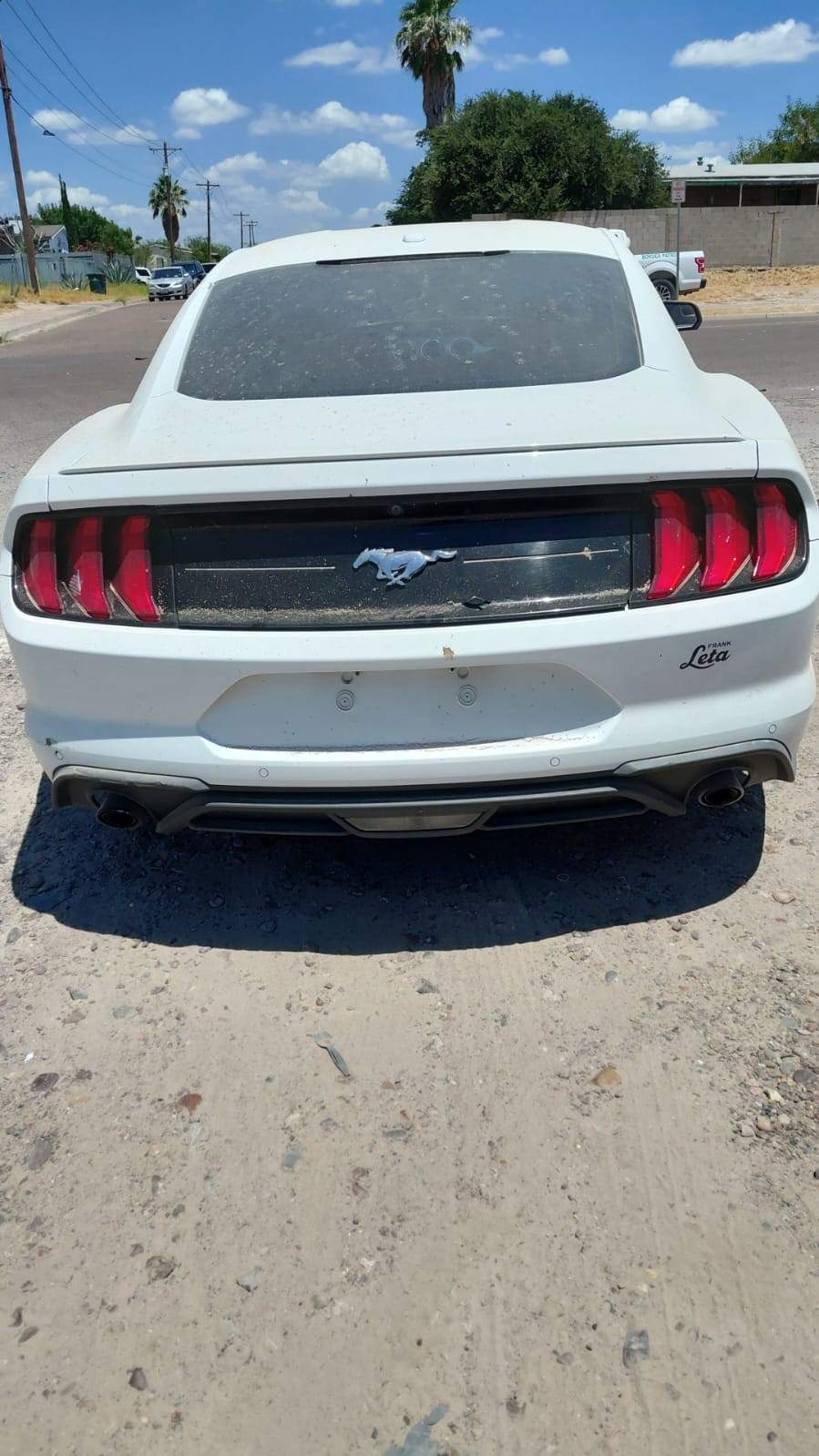 2019 Ford Mustang