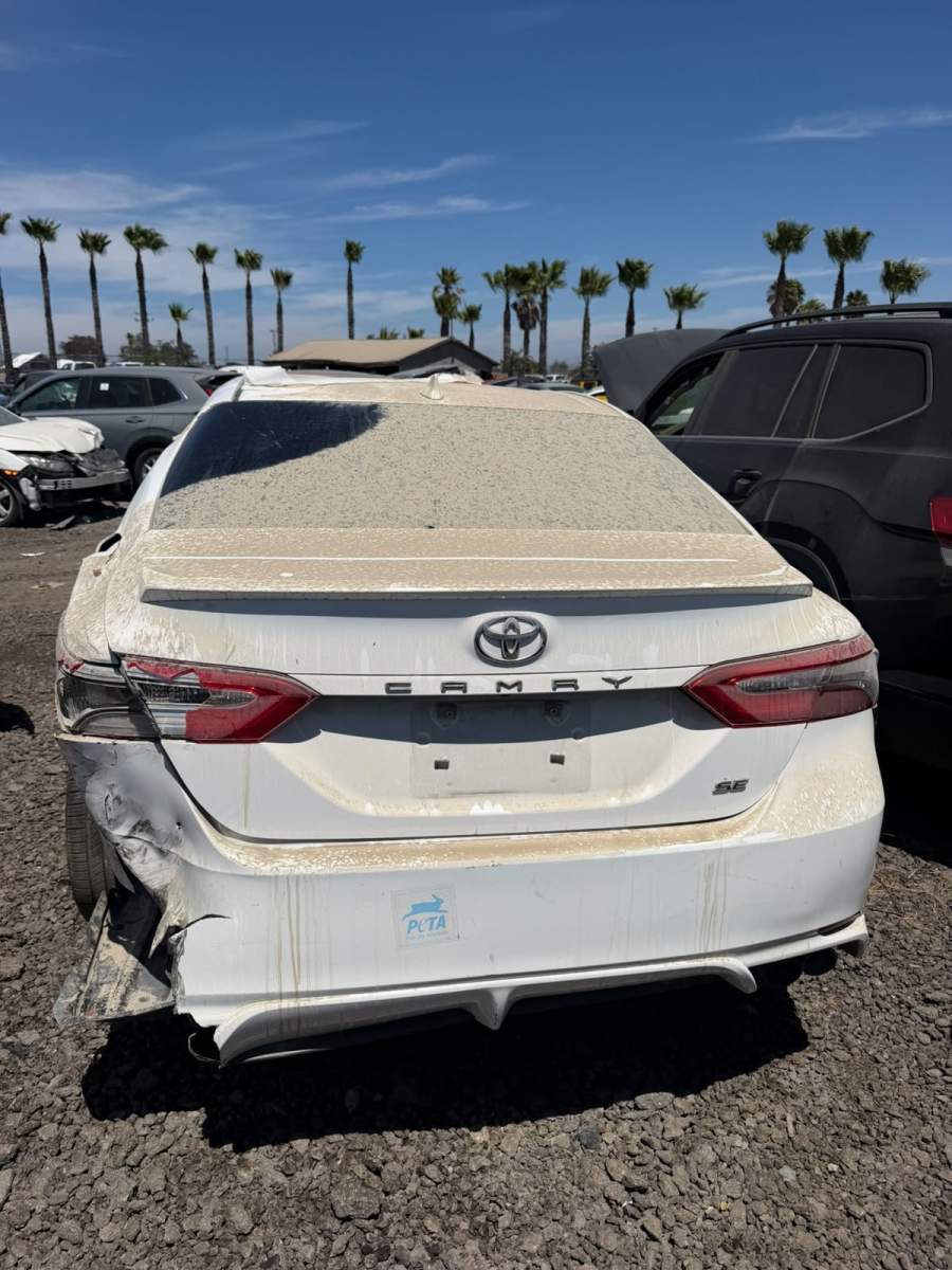 2019 Toyota Camry L / LE / SE / XLE