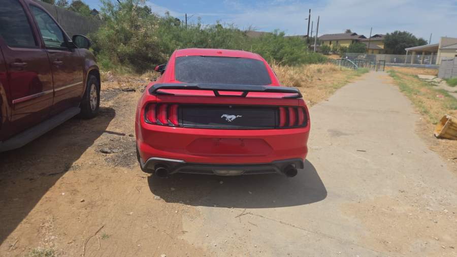 2019 Ford Mustang