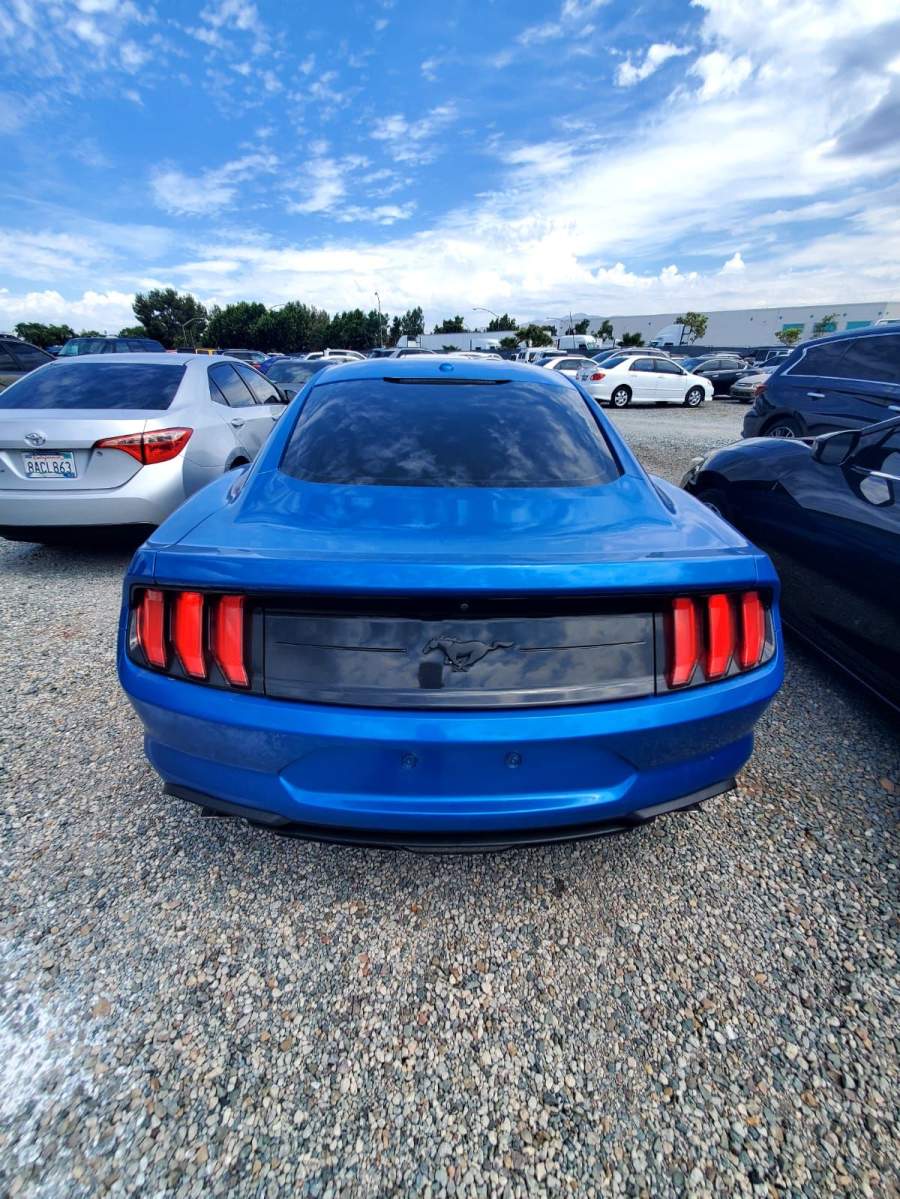 2020 Ford Mustang Ecoboost / EcoBoost Premium