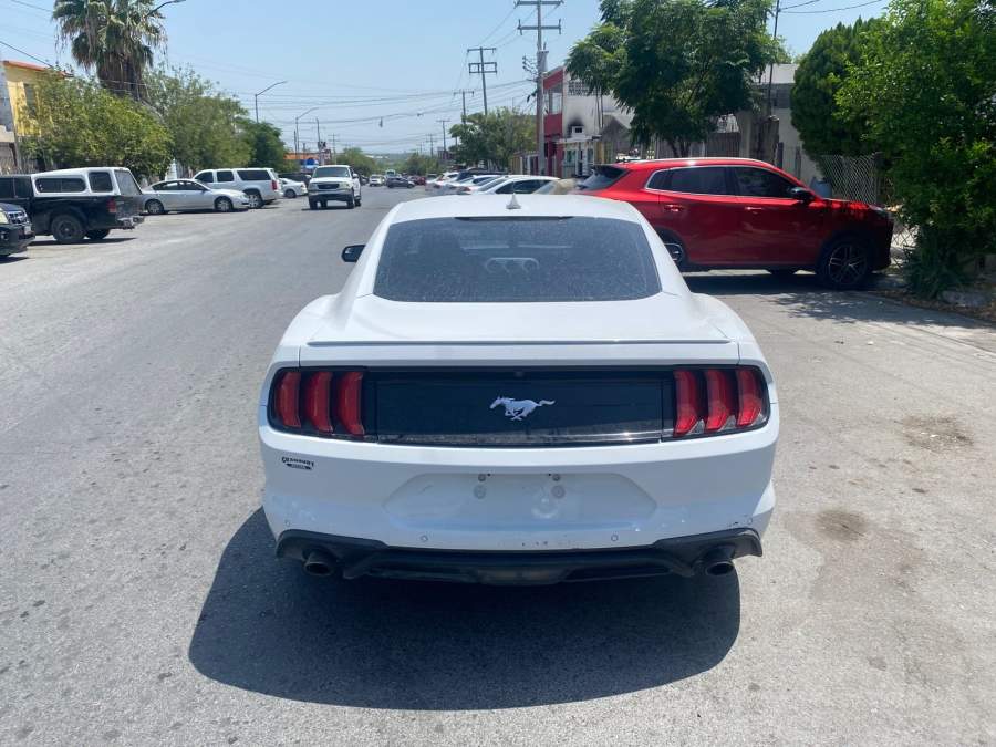 2020 Ford Mustang Ecoboost / EcoBoost Premium