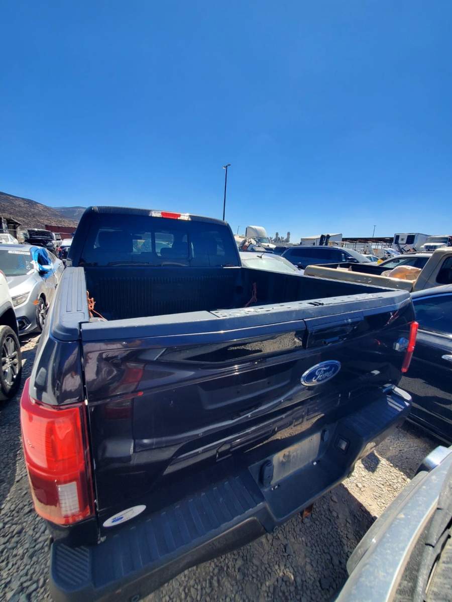 2019 Ford F-150 King Ranch / Lariat / Platinum / XL / XLT