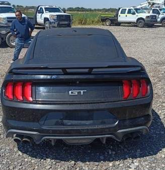 2019 Ford Mustang