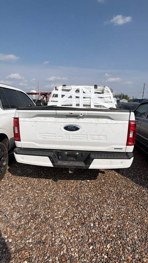 2021 Ford F-150 King Ranch / Lariat / Limited / Platinum / XL / XLT
