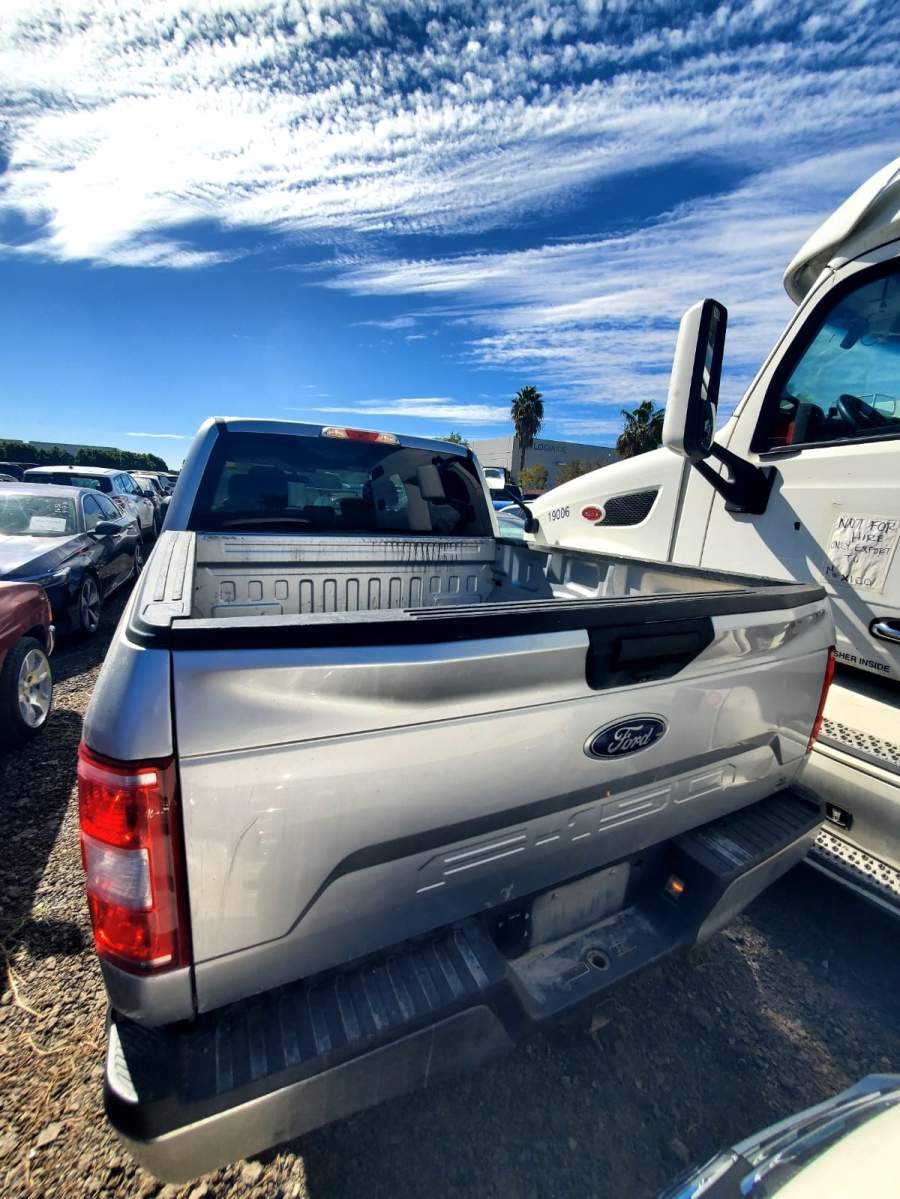 2019 Ford F-150 King Ranch / Lariat / Platinum / XL / XLT