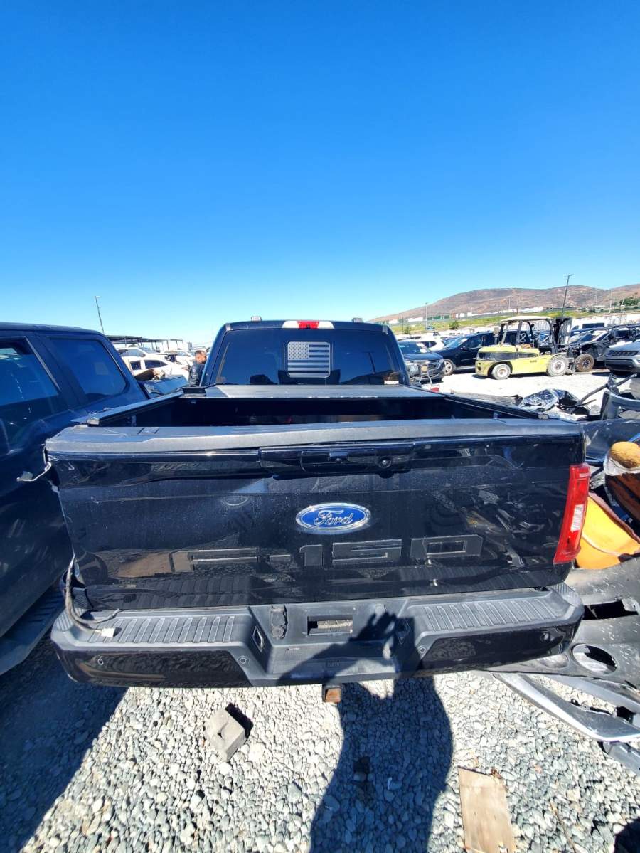 2021 Ford F-150 King Ranch / Lariat / Platinum / XL / XLT