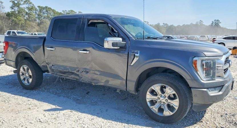 2021 Ford F150 Platinum