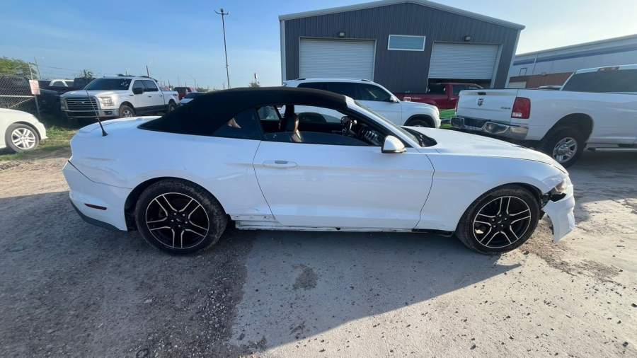 2019 Ford Mustang