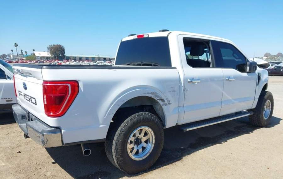 2021 Ford F-150 King Ranch / Lariat / Platinum / XL / XLT