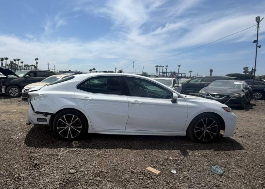 2019 Toyota Camry L / LE / SE / XLE
