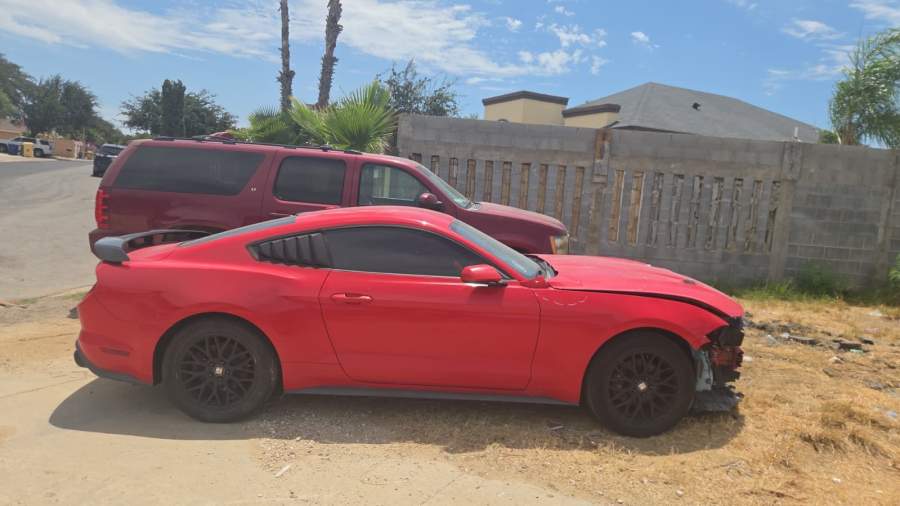 2019 Ford Mustang