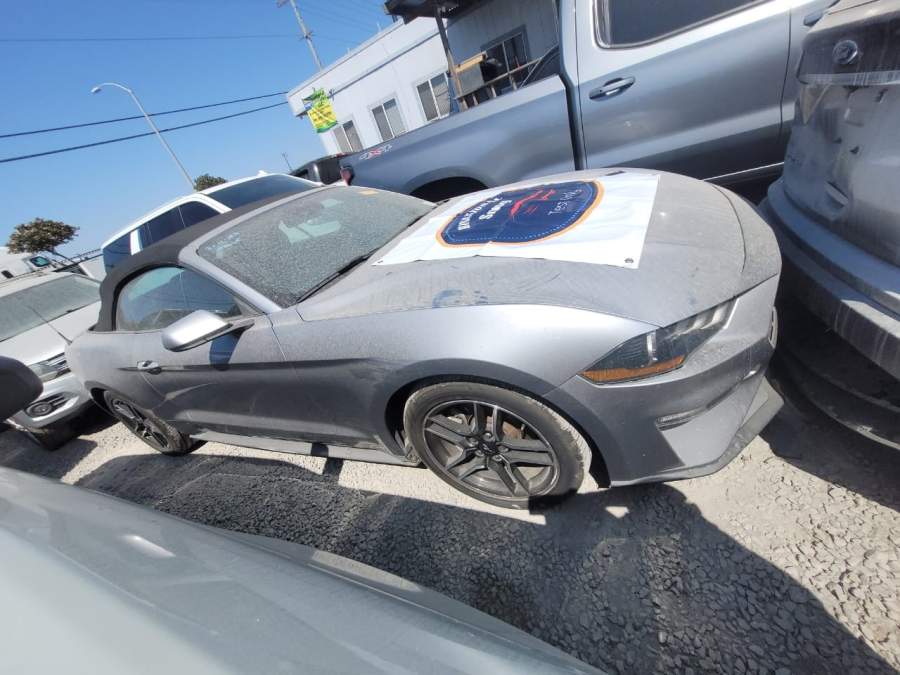 2021 Ford Mustang Ecoboost / EcoBoost Premium