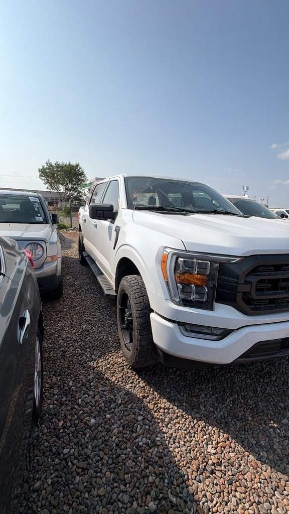 2021 Ford F-150 King Ranch / Lariat / Limited / Platinum / XL / XLT