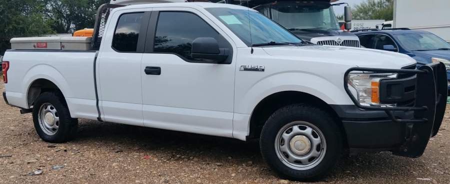 2019 Ford F-150 XL / XLT